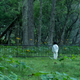 Illustration for article titled iThe Promised Neverland/i Is Getting A Live-Action Film Adaptation